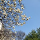 목련약국 이미지