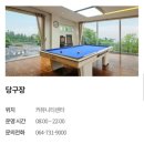 럭셔리당구장 | 제주 럭셔리 숙소 추천 ❗️롯데리조트제주 아트빌라스 프라이빗 풀빌라 체험기