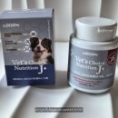 제이플러스 | 포메라니안 닥터독 베츠초이스 뉴트리션 제이플러스 강아지 관절영양제 급여 후기