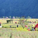 청송정원 이미지