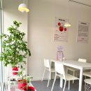 도지울길 이미지