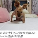 대장 이미지