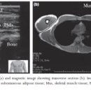 MUSCLE FLOW 이미지