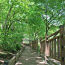 수지생태공원 이미지