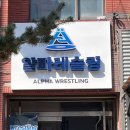 알파레슬링 이미지