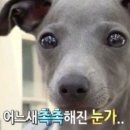 기억