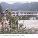 고향:김천조마면 조마초등학교(1945년설립:상록수20회졸업) 이미지