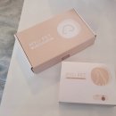 마요 펫 이미지