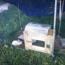 동혜농장 이미지