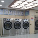 죽도세탁 네이버블로그