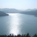 돈바우