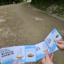 이명목장 | [평창] 대관령 가볼만한 곳 삼양라운드힐(삼양목장) 10월, 6월 방문 후기