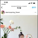 디어플라워스튜디오 이미지