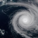 태풍태권스쿨 이미지