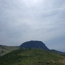 영실기암과 오백나한 | 한라산 영실코스-철죽제 시즌 탐방기