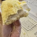 고성공업사 | 시간이 지날 수록 더 맛있고 부드러운 촉촉 화이트롤/초코롤 클래스 후기