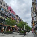 [경기도 안양시] 서민갑부 출연. 평촌 범계 스시 맛집. 쥰스시 방문 후기.