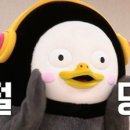 곱깨비 - 용산구 | 곱깨비
