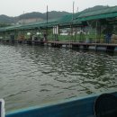 대동 낚시터 이미지