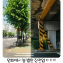 정각