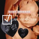 태담이네 하우스 | 임신 중기 증상_ 허리 통증, 자궁수축, 배뭉침, 심장 두근거림, 퉁퉁이별티 후기, 아빠태담 &amp; 태교동화