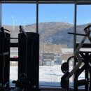 더리얼휘트니스 이미지