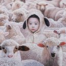 아트홀릭 이미지