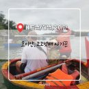 흥사 | 25.01.09 다낭에서 호이안, 코코넛배 사기꾼 (🇻🇳 베트남 3일차 / 다낭, 호이안)
