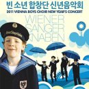 신년음악회 <빈 소년 합창단> 이미지