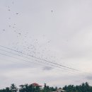 고현치과의원 이미지