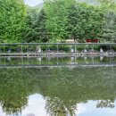 양원리낚시터 이미지