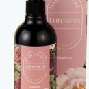 샴프네집 이미지