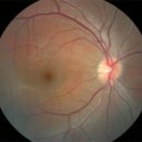 풀잎한의원 이미지