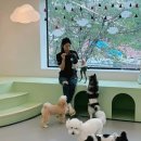 소심유치원 네이버블로그