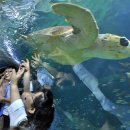 아쿠아민박 이미지