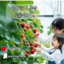 강동로3-11 이미지