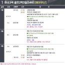 레조네이트