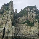 금강자연약초 이미지