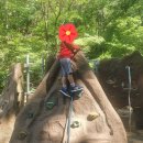 [구미] 천생산성 유아숲 체험원