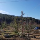 민성 농장 이미지