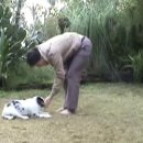 kikopup 님의 훈련트레이닝 동영상---teaching my dog to growl 11~15 (2007년 자료입니다) 이미지