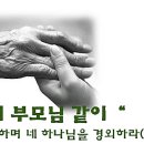 삼성프라자(효서로) 이미지