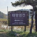 태평 찜질방 이미지