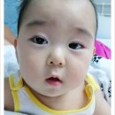 (주)효찬 네이버블로그