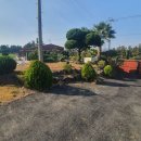 구현농장 이미지