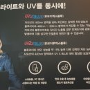 아이트랜드 안경 · 렌즈아이 이미지