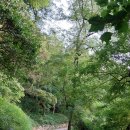 카페만디 이미지