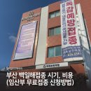 부산 백일해접종 / 임산부 무료접종, 남편 유료접종 인구보건복지협회 신청방법, 시기, 비용,시간