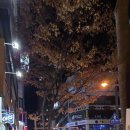 꼼앤닭 네이버블로그