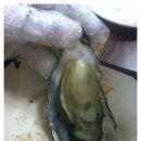 하대동297 이미지